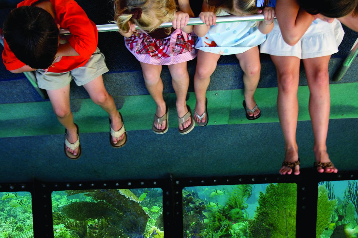 Make memories you wont forget in Key West