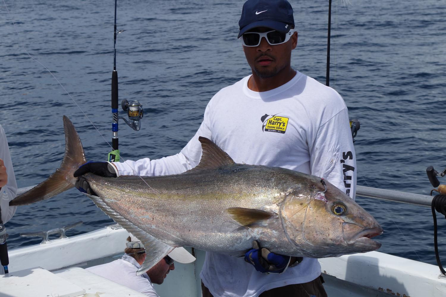 Reward Fleet Ship - Another Reward